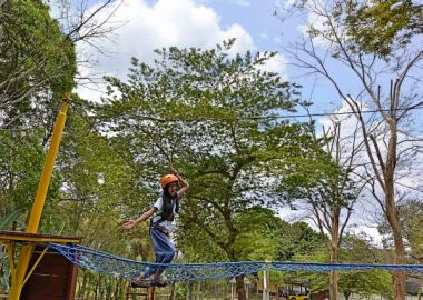 Flying Fox